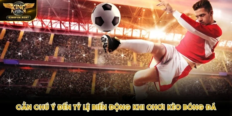 Theo dõi biến động tỷ lệ nhà cái liên tục